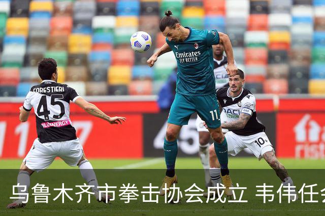 乌鲁木齐市拳击协会成立 韦伟任会长