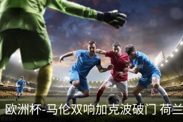 欧洲杯-马伦双响加克波破门 荷兰3-0罗马尼亚