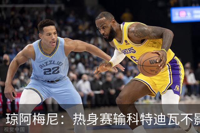 琼阿梅尼：热身赛输科特迪瓦不影响法国，可以说是一次小小的提醒